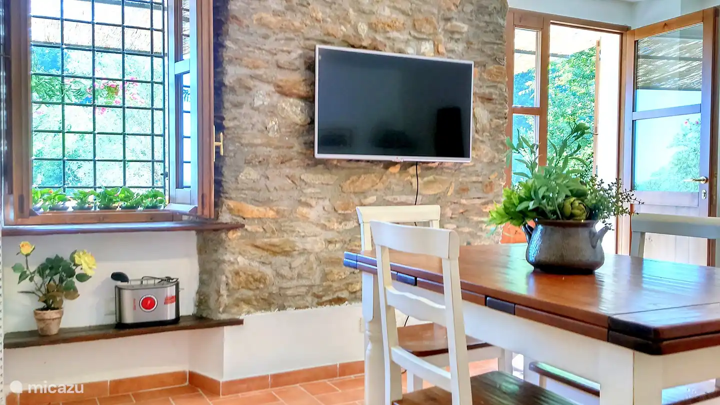 TV vía satélite de 42