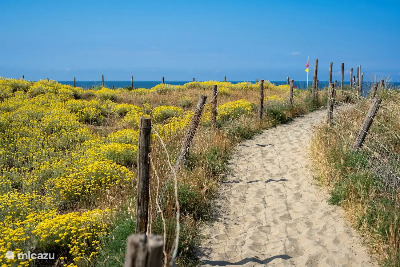 Gran Playa Libre Natural. 7 km de la casa