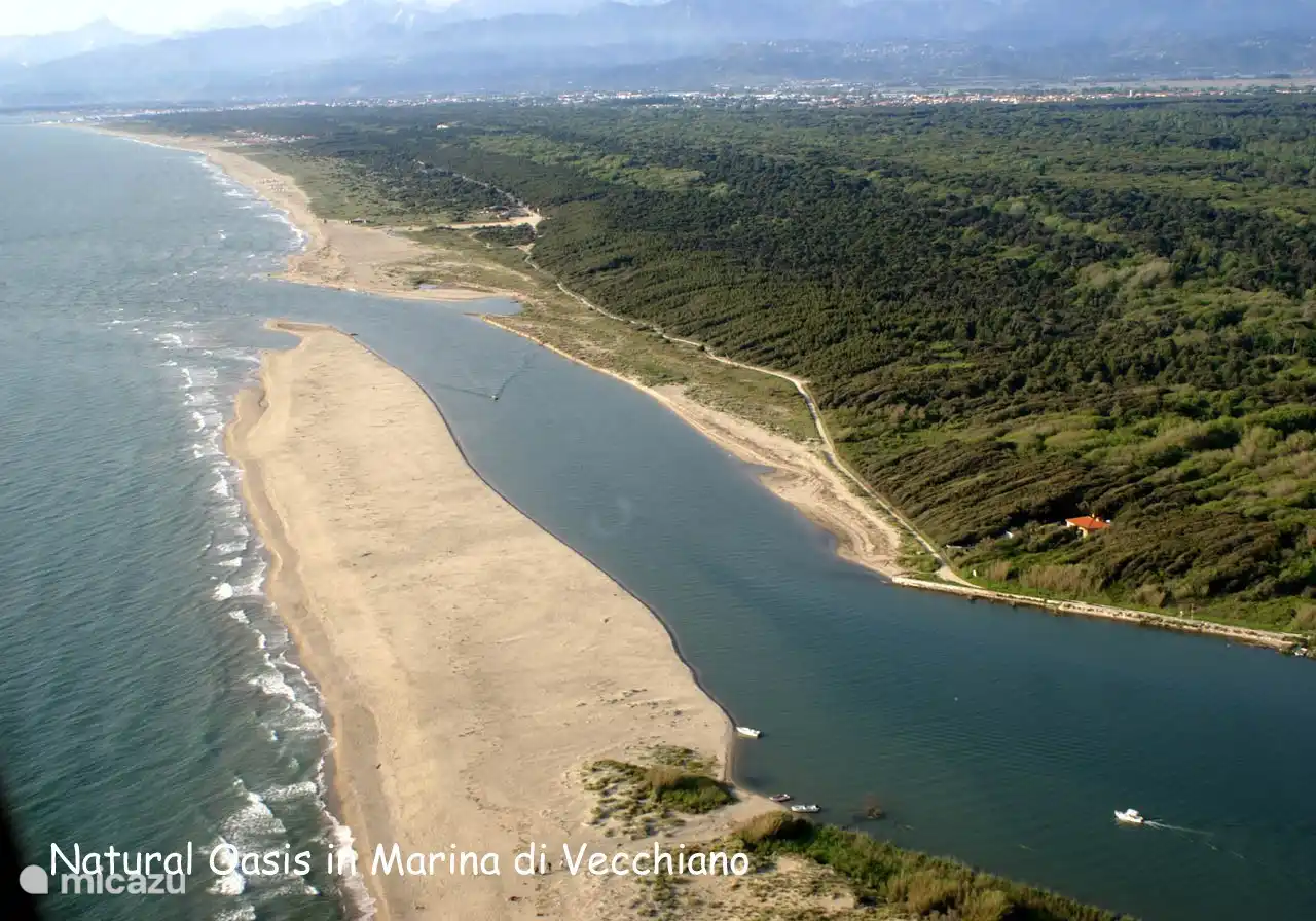 Oasis Natural: el Pinar, las Dunas y el Mar