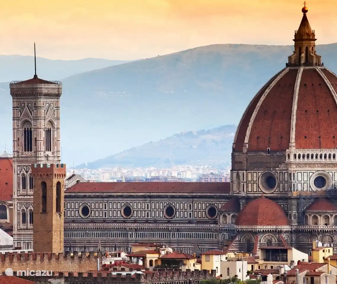 Los museos, palacios e iglesias de Florencia albergan algunos de los mayores tesoros artísticos del mundo.
florencia