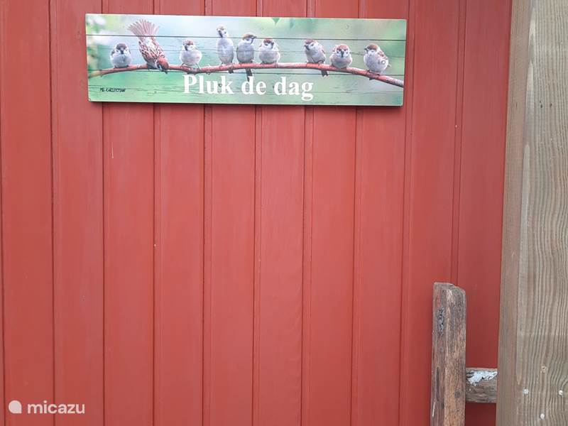 Ferienwohnung Niederlande, Overijssel, De Pol Chalet Chalet 'Nutze den Tag'