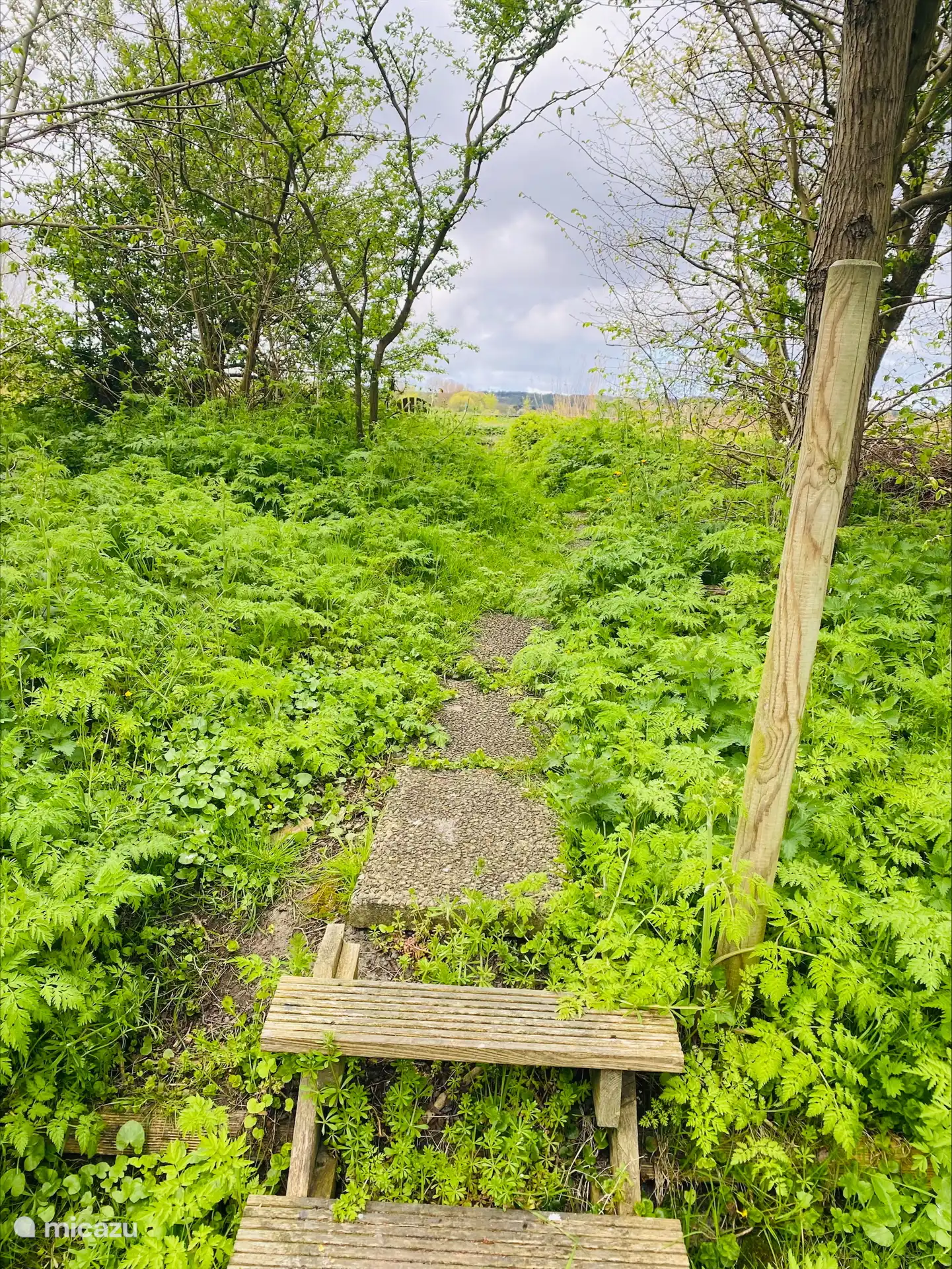 looppad naar Noord Hollands kanaal waar u kunt vissen