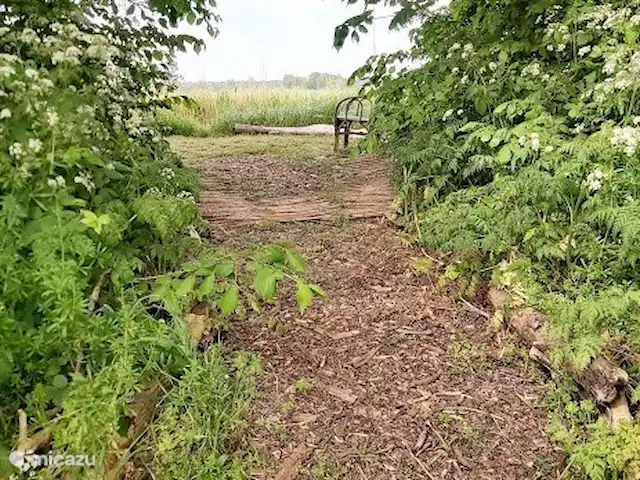 Tiny House 262 Schoorl, Bergen NH en Países Bajos, Holanda del Norte, Warmenhuizen - chalet