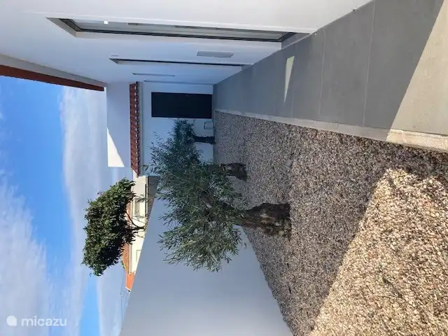 Hinter dem trockenen Sonnenschirm