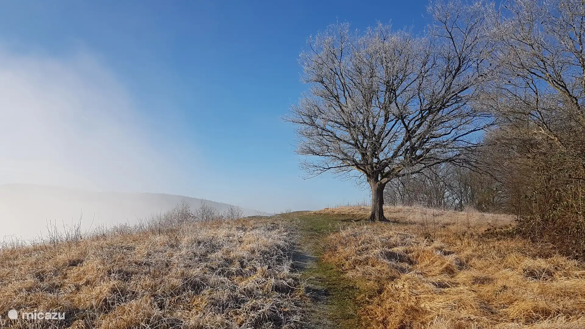 Winter, autumn, summer or spring, nature remains beautiful!