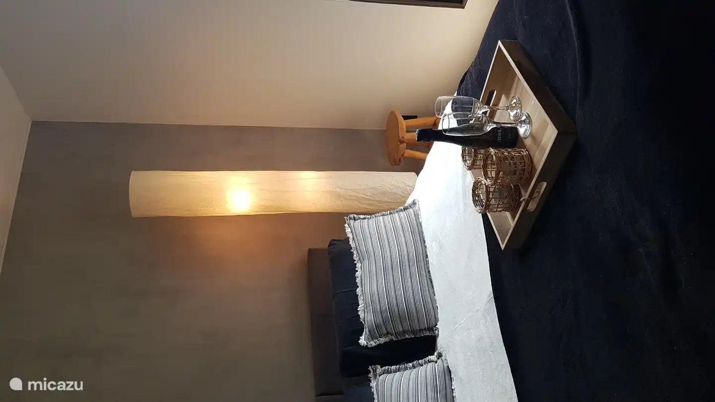 bedroom with frosted glass sliding door