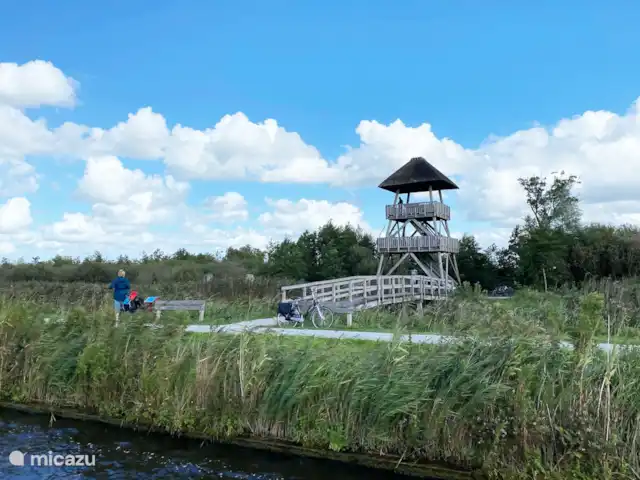 Pavillon Grutte Fiif Safari avec climatisation | Pays-Bas, Frise, Grouw - glamping / tente safari / yourte Belle nature dans le parc national De Alde Feanen près du lodge Grutte Fiif Safari à Grou