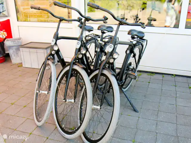 Pavillon Grutte Fiif Safari avec climatisation | Pays-Bas, Frise, Grouw - glamping / tente safari / yourte Il est fortement recommandé de faire du vélo sur la route des ferries telle que la route « 8 van Grou ». Si nécessaire, renseignez-vous auprès de la réception où vous pouvez louer des vélos