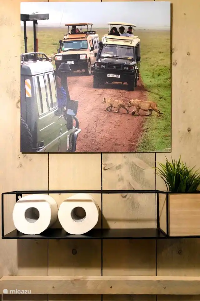 Sfeervolle inrichting met eigen foto's uit Tanzania en de Friese Alde Feanen