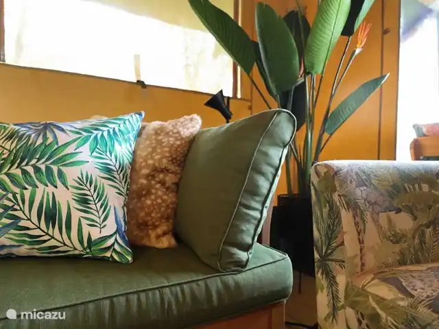 Pavillon Grutte Fiif Safari avec climatisation | Pays-Bas, Frise, Grouw - glamping / tente safari / yourte Décor atmosphérique et robuste