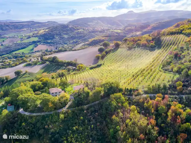 Location de Vacances Italie, Marche, Arcevia, appartement - Poggio delle Querce Domaine en novembre, Monte Murano sur la droite, truffière en face.