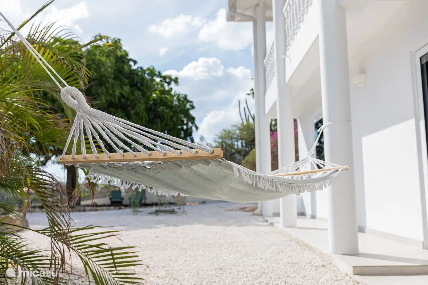 Ground floor: Tropical garden