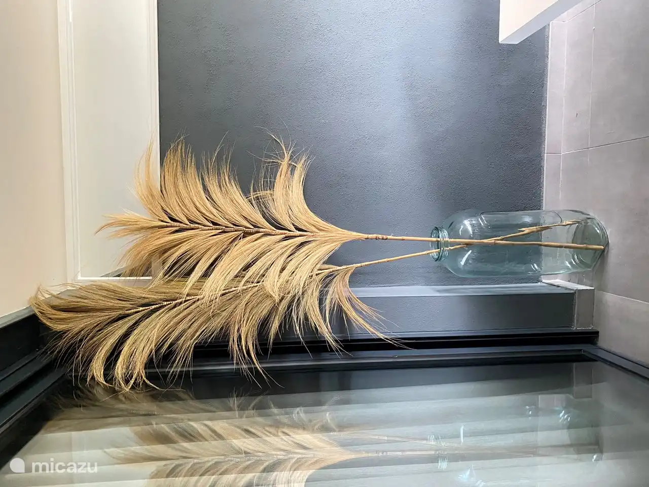 Deze mooie pluimen sieren het terras