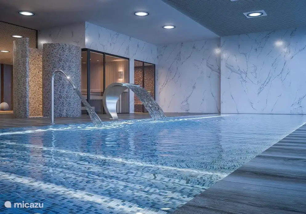 Het verwarmde binnenzwembad met massage douches