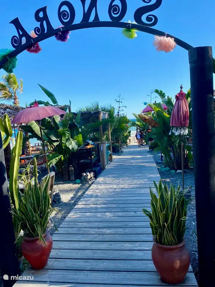 In de tuin van Sonora Beach kan je heerlijk zitten en eten & drinken. 