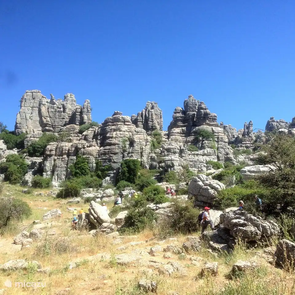 Einen Ausflug nach Antiquera, einer alten Kulturstadt, können Sie mit einem Spaziergang in El Torcal mit seinen besonderen Felsen verbinden.