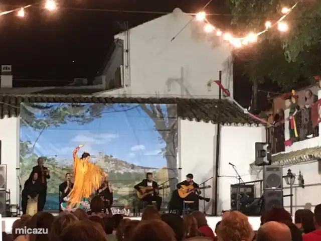 Casa de los Arboles - Iznájar | Espagne, Andalousie, Iznajar - maison de vacances Le flamenco, ici dans notre propre théâtre en plein air à Iznájar, en fait partie. Vous pouvez réserver de beaux spectacles dans des lieux atmosphériques (également des performances de déjeuner). Infos à ce sujet lors de la réservation et dans notre maison.