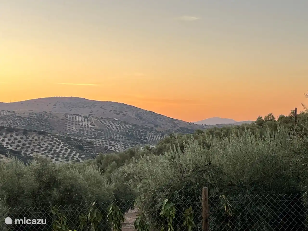 Noch ein schöner Abend auf der Terrasse.