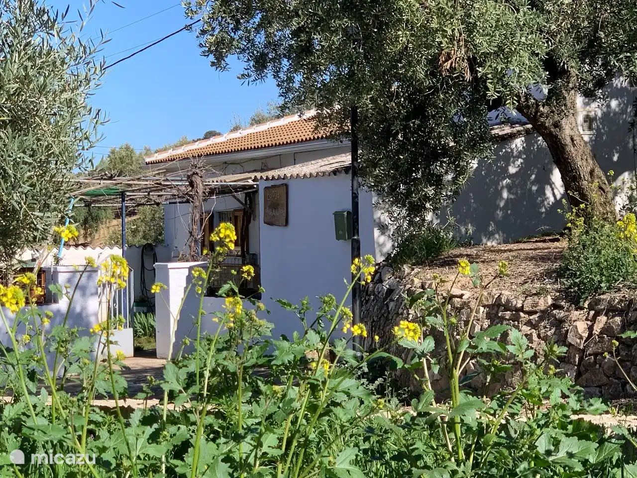 Eingang und vor dem Haus.