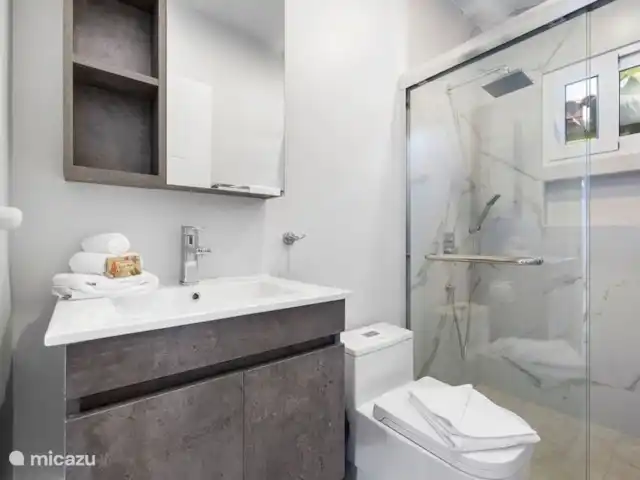 Nouvelle piscine privée moderne 3BDR / 2BA | Aruba, Paradera, Modanza - maison de vacances