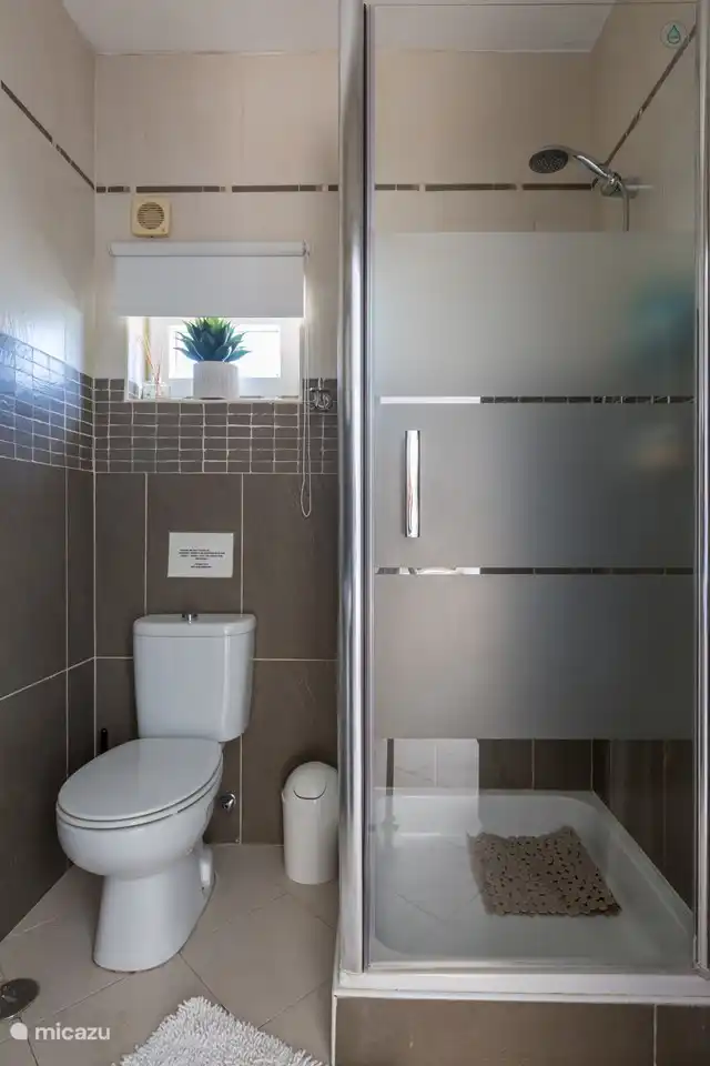 Die eigene Dusche mit WC und Waschbecken gehört zum ersten Schlafzimmer.