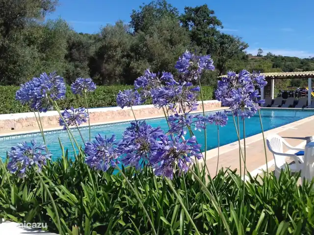Casa Bela Vista vue fantastique sur la mer | Portugal, Algarve, Guia - maison de vacances La 2ème piscine de la vallée