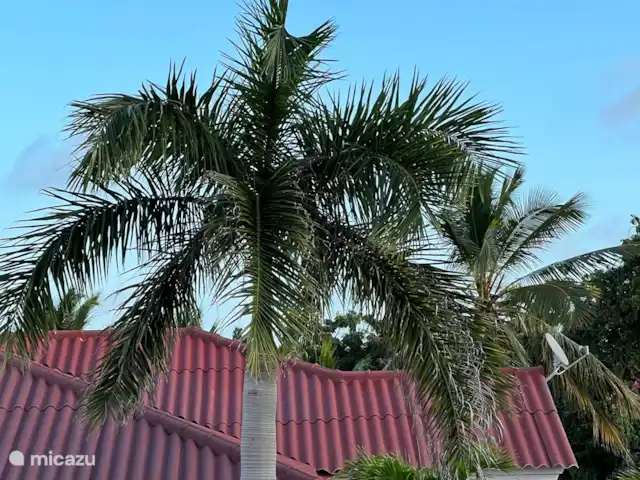 bungalow huren in Curaçao, Curacao-Midden, Bottelier – Casa Bonita