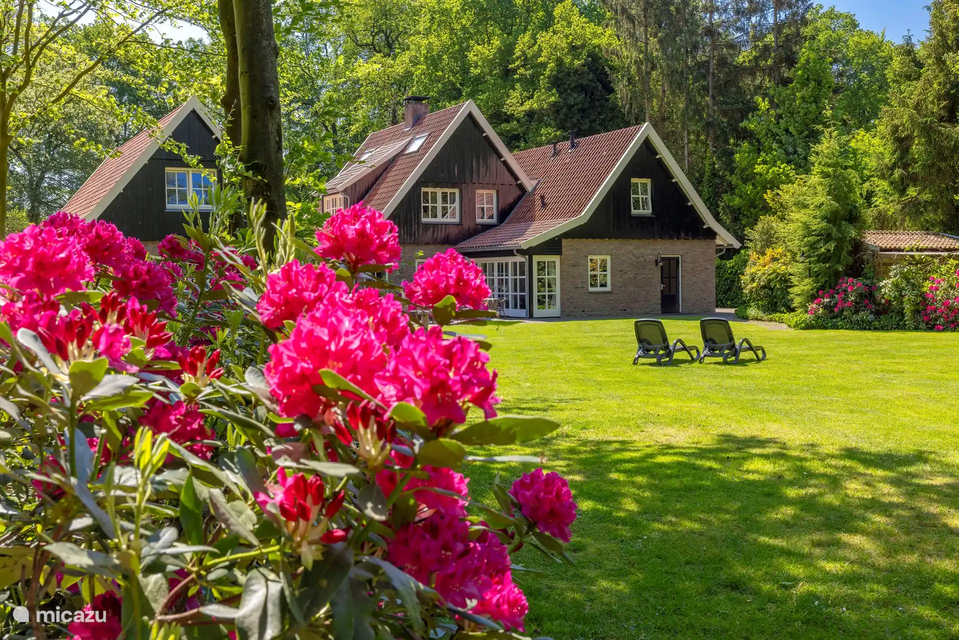 Die Villa in Niederlande, Overijssel, Losser - landhaus / schloss