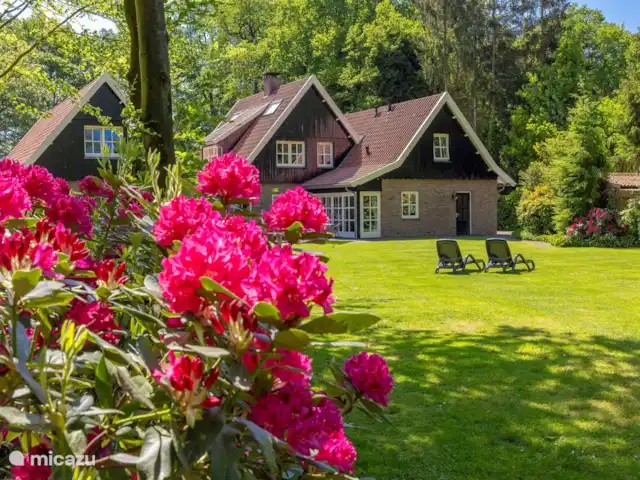 Le manoir | Pays-Bas, Overijssel, Losser - manoir / château Le manoir | Pays-Bas, Overijssel, Losser - manoir / château