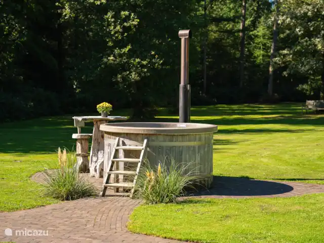 Le manoir | Pays-Bas, Overijssel, Losser - manoir / château The Country House - bain à remous privé dans le jardin