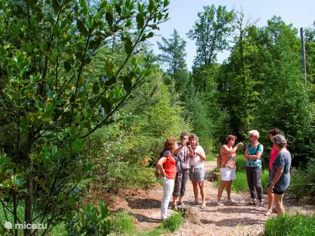 Le manoir | Pays-Bas, Overijssel, Losser - manoir / château Depuis votre logement vous avez un accès direct à la forêt et au milieu naturel. La forêt offre diverses possibilités d'activités, telles que la marche, le jogging, le vélo et les pique-niques.