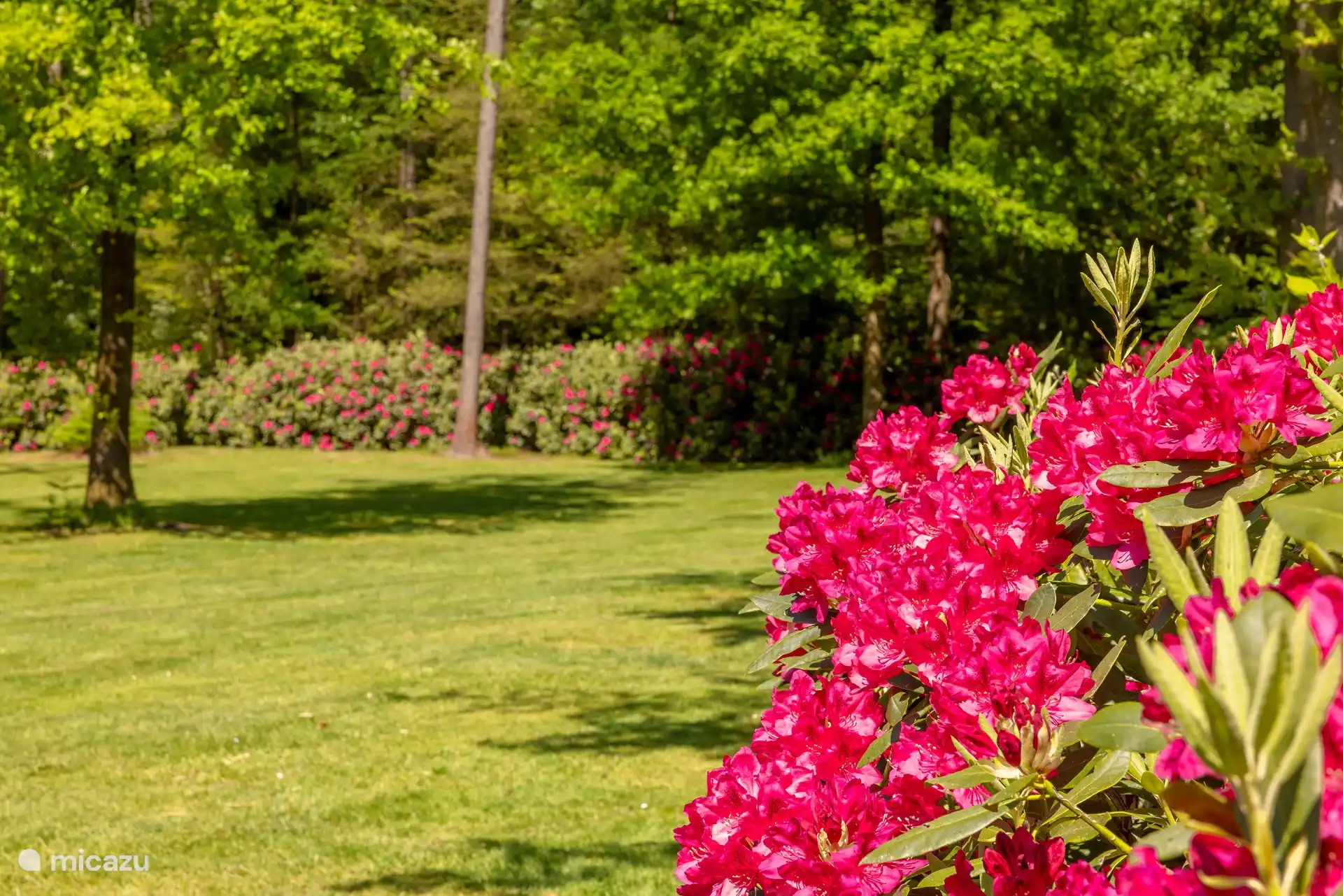 Das Landhaus - geräumiger privater Garten