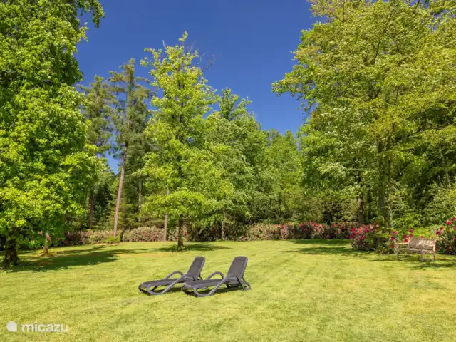 Le manoir | Pays-Bas, Overijssel, Losser - manoir / château Le manoir - Un jardin spacieux adjacent aux bois.