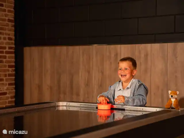 Le manoir | Pays-Bas, Overijssel, Losser - manoir / château Aire de jeux intérieure avec air hockey