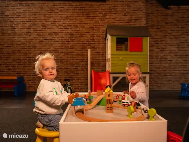 Le manoir | Pays-Bas, Overijssel, Losser - manoir / château Aire de jeux intérieure - même pour les plus petits