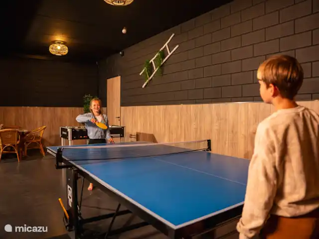 Le manoir | Pays-Bas, Overijssel, Losser - manoir / château Aire de jeux intérieure avec ping-pong