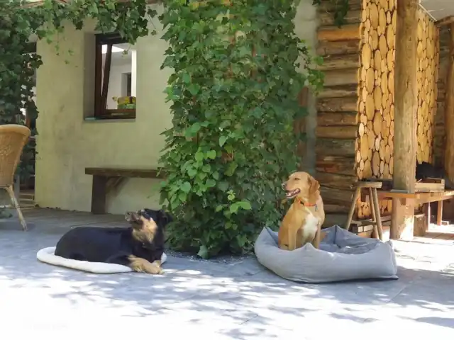 Le Reve Du Sanglier huren in België, Ardennen, Chevron - vakantiehuis ook honden welkom!