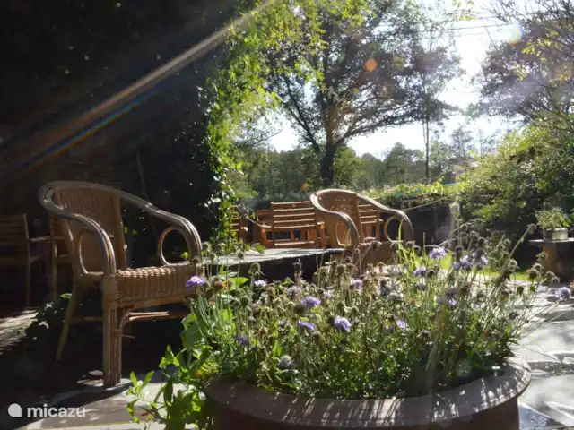Le Reve Du Sanglier huren in België, Ardennen, Chevron - vakantiehuis tuinstoelen