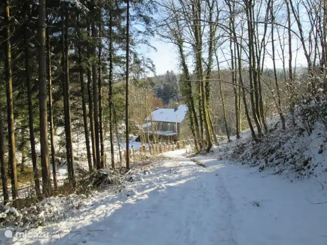 Le Reve Du Sanglier huren in België, Ardennen, Chevron - vakantiehuis Huis vanuit het bos in de winter