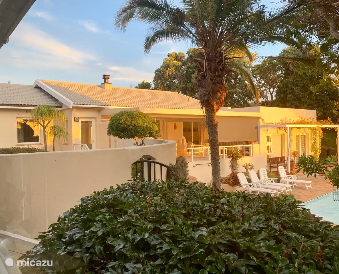 Bis die Sonne untergeht ist er auf der Terrasse!