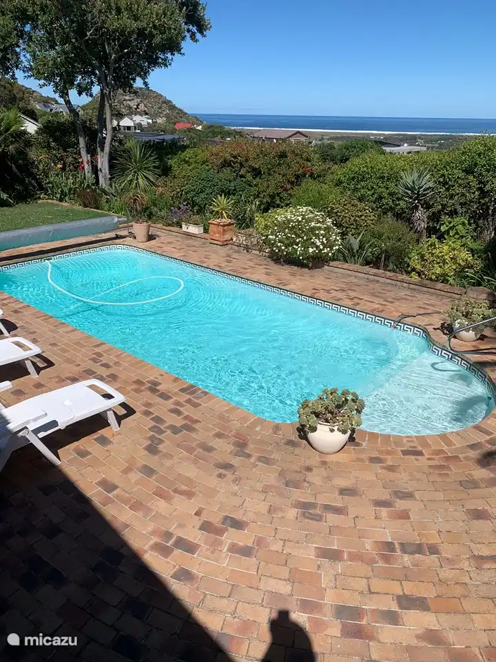 Der Pool wird durch den automatischen Poolreiniger sauber gehalten.