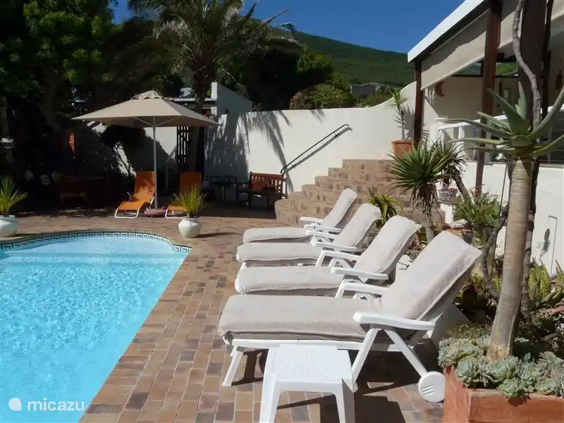 Die Sonnenliegen am Pool.