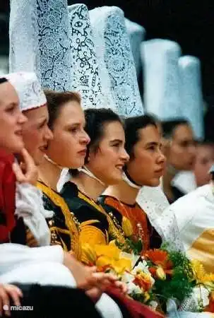 Festival des Brodeuses in Pont L'Abbé