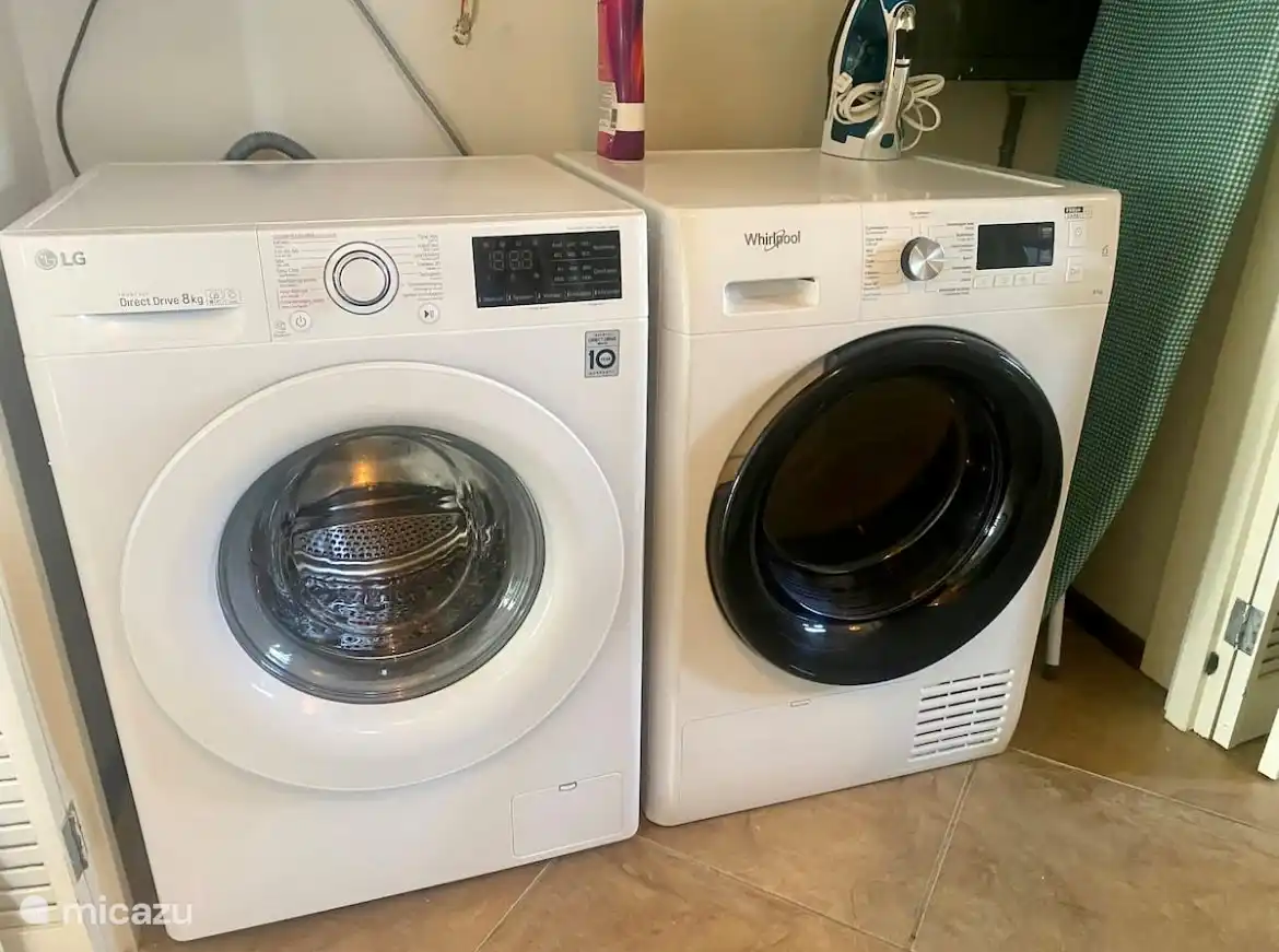 Washing machine and dryer with ironing facilities