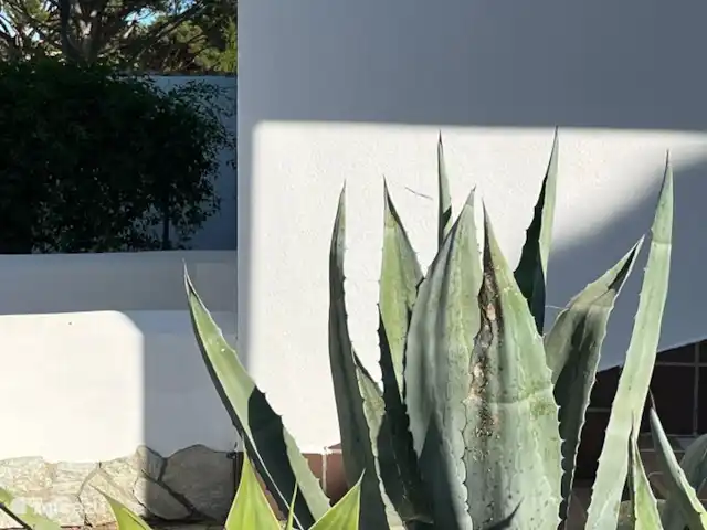 Casa Floralouz | Espagne, Andalousie, Roche - villa