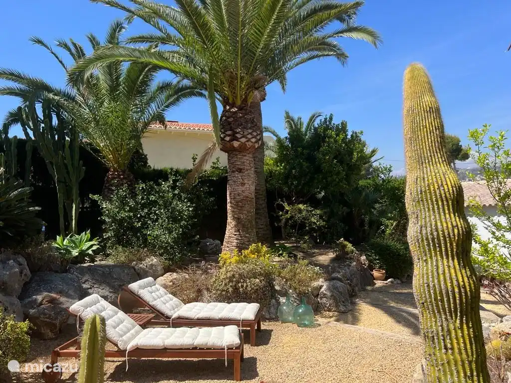 Dos sillones con cojines.