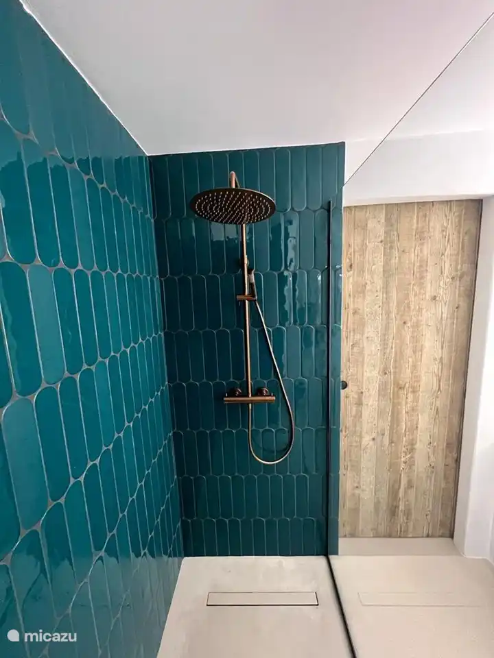 El baño 3 en el estudio.