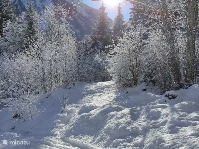 Location de Vacances Autriche, Salzburgerland, Krimml, studio - Maison im Gluck De belles promenades hivernales sont possibles depuis la maison.
