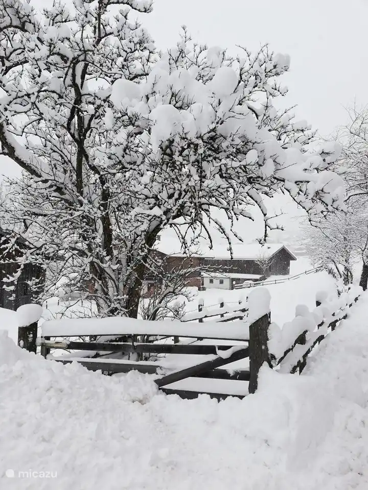 Manchmal liegt so viel Schnee.
