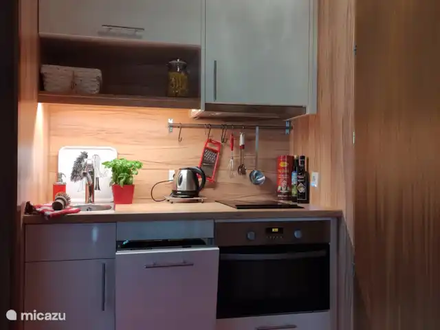 Location de Vacances Autriche, Salzburgerland, Krimml, studio - Maison im Gluck Cuisine confortable avec lave-vaisselle, plaques vitrocéramiques et four.